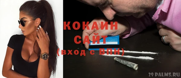 тгк Михайлов