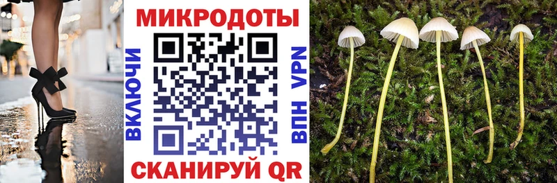 omg tor  Черкесск  Псилоцибиновые грибы прущие грибы 