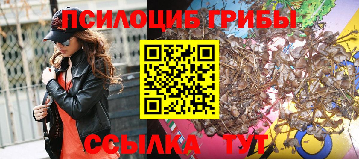 Галлюциногенные грибы Magic Shrooms Черкесск