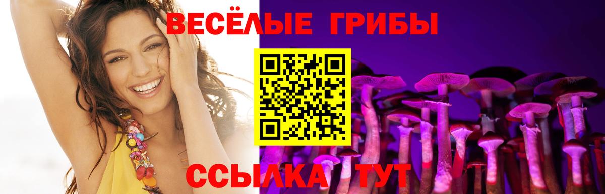 Черкесск  Псилоцибиновые грибы MAGIC MUSHROOMS  Галлюциногенные грибы Cubensis  Вход с VPN 